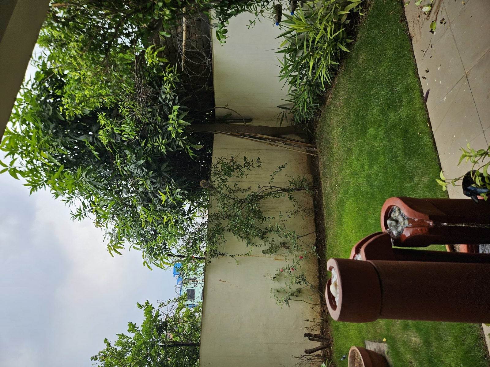 A calm, green outdoor space
